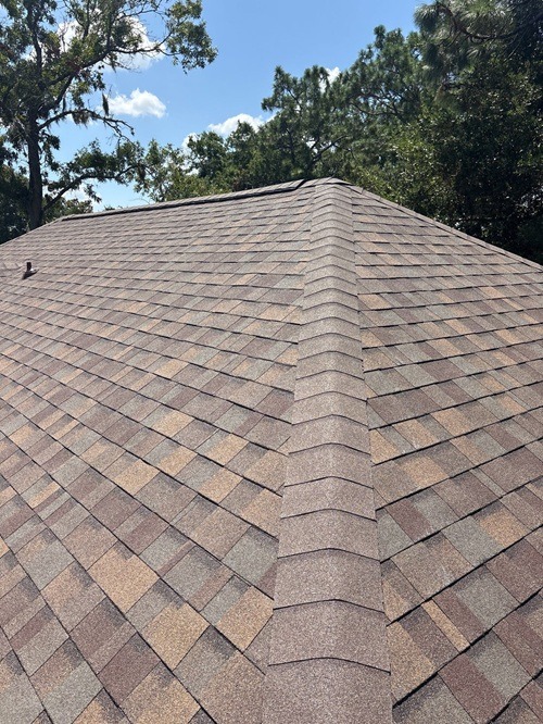Shingle Roof